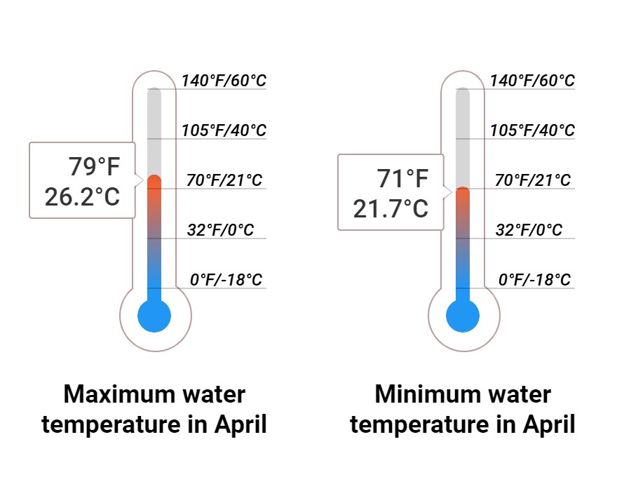 Average Sea temperature